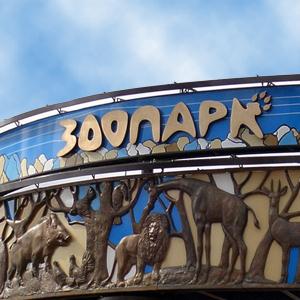 Зоопарки Черноголовки